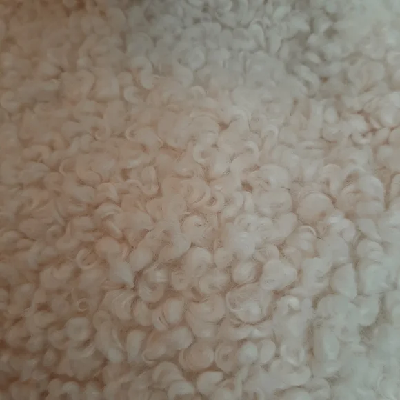 **Pottery Barn 30" Cozy Teddy PillowCover Ivory